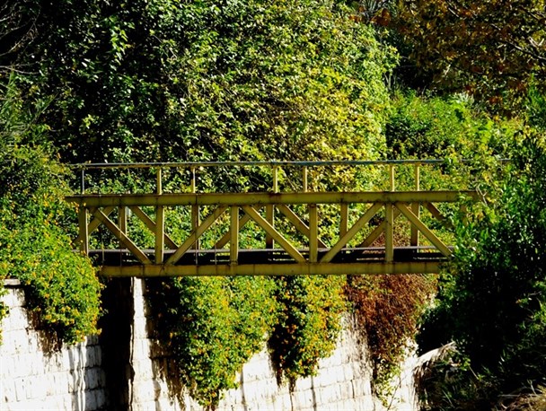 تصاویر جذاب و دیدنی از آخرین روزهای زیبای پاییز درکهگیلویه و بویراحمد