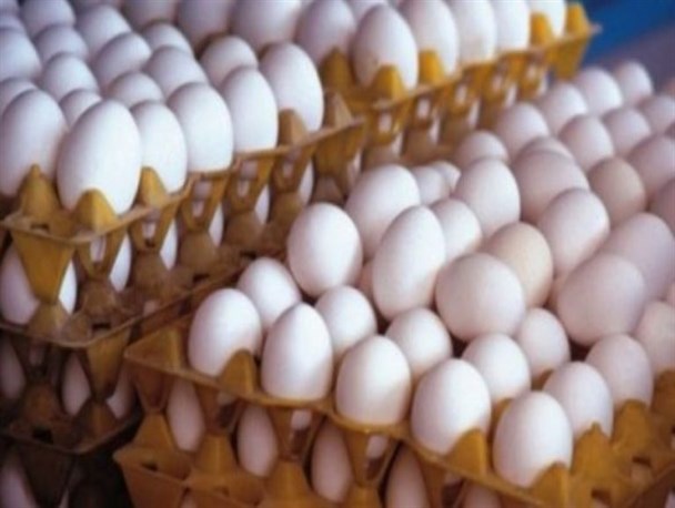 تخم مرغ هایی به ارزش یک گوهر/ تخم مرغ هم از سبد مصرف خانوارها  پرکشید