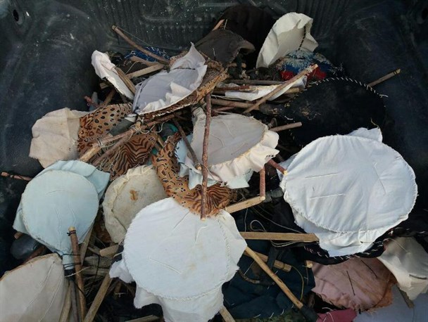 هزار تله زنده گیری هوبره در دشت گلورده شهرستان درمیان جمع آوری شد