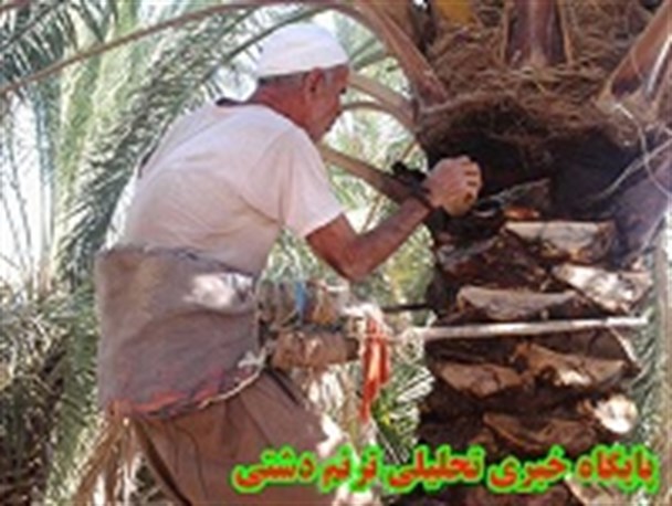 درازی ؛خطه ای عالم پرور