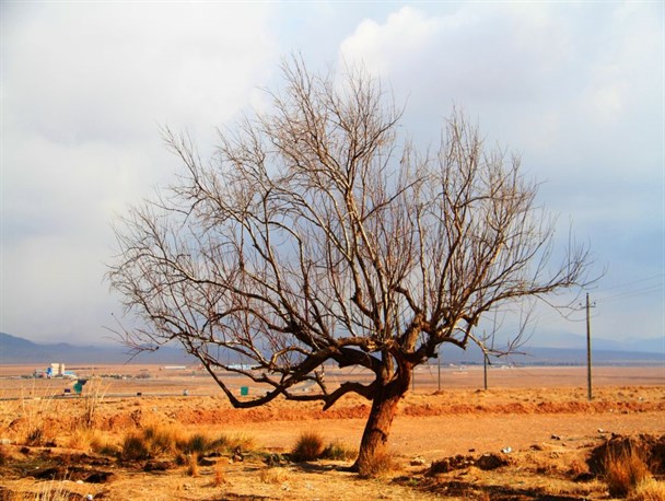 انعکاس”زمستان”