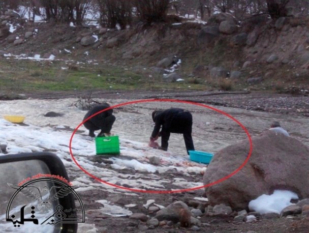 ذبح غیر بهداشتی طیور در بستر رودخانه خیاوچایی مشکین شهر در سایه بی توجهی مسئولان
