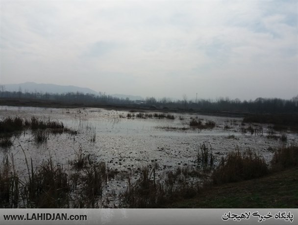 «لاهیجان» و «مارسی» خواهر خوانده می شوند