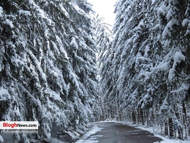 طبیعت زمستانی سوادکوه