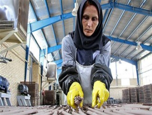 بلاتکلیفی زنان سرپرست خانوار در مازندران و هزار و یک مشکل پیش‌رو/خطری جدی برای نسل‌های آینده