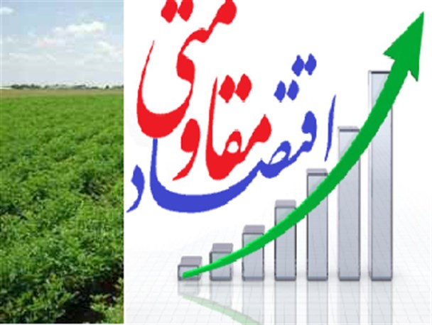 اقتصاد مقاومتی راه حلی مناسب برای مقابله با تحریم و فشار اقتصادی