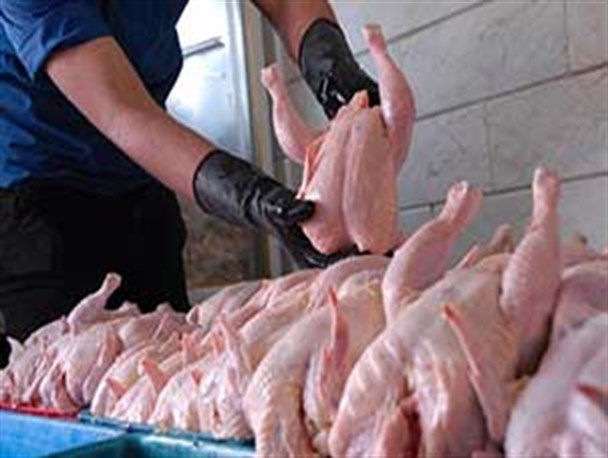 گرانی مرغ در کش و قوس اظهار نظرهای متناقض مسئولین