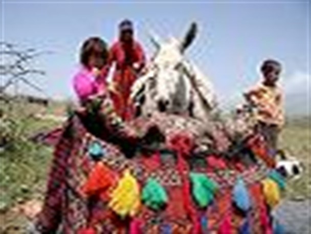 خشکسالی موجب کوچ زود هنگام عشایراز شوشتر شد