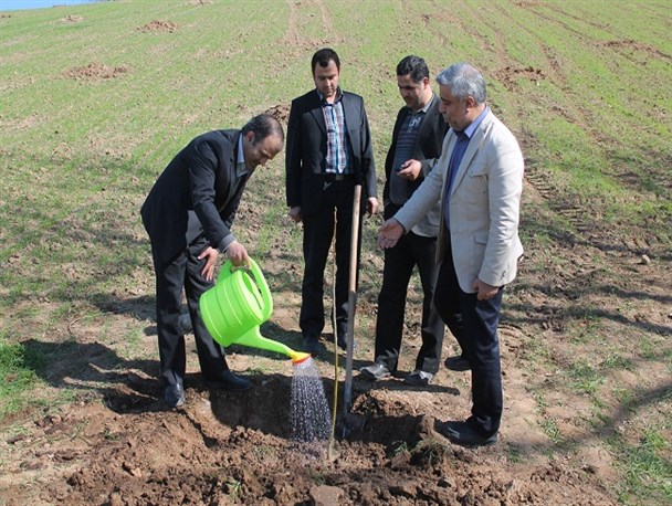 پلاک گذاری تراکتور و غرس نهال گردون توسط مدیرکل جهاد کشاورزی گلستان در گالیکش + تصاویر