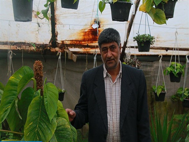 بهار خرید و فروش گل در خراسان شمالی/دفین باخیا و اسپاتی، محبوب دل خانواده ها
