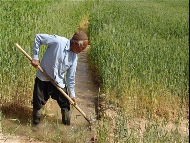 عدم توجه به تأکیدات رهبری نخستین چالش بخش کشاورزی است