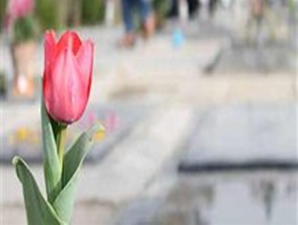 مادر شهید شفتی پس 30 سال به عشق پسرش تنها زندگی می کند +تصاویر
