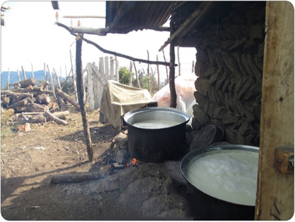 طبیعت دلنواز و سوغاتی های محلی در قاب روستای «چشمه وهلی»