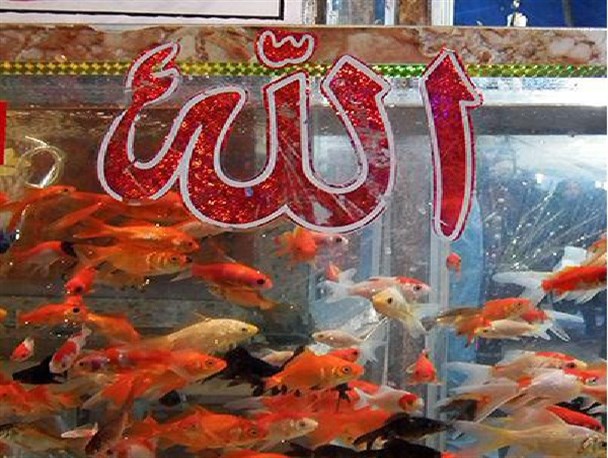 حال و هوای عید در مبارکه/ تصاویر