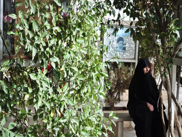 یادی از گذشتگان در آخرین پنج شنبه سال+عکس