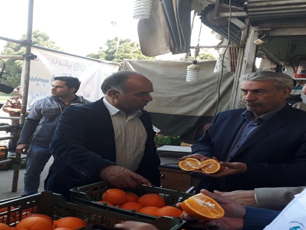 عرضه میوه دولتی در دو نقطه از شهر پیشوا