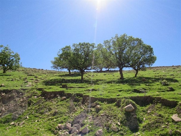 "گگه احمدروستایی" به پهنه تاریخ در لنده+تصاویر