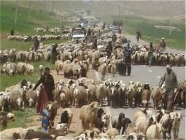 کوچ بهاره عشایر کهگیلویه ۱۵ اردیبهشت آغاز می‌شود