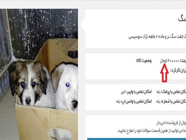 ترویج سبک زندگی ضداسلامی در فروشگاه های اینترنتی کشور+تصاویر