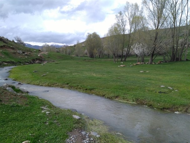 معجزه بهار در طبیعت نیر + تصاویر