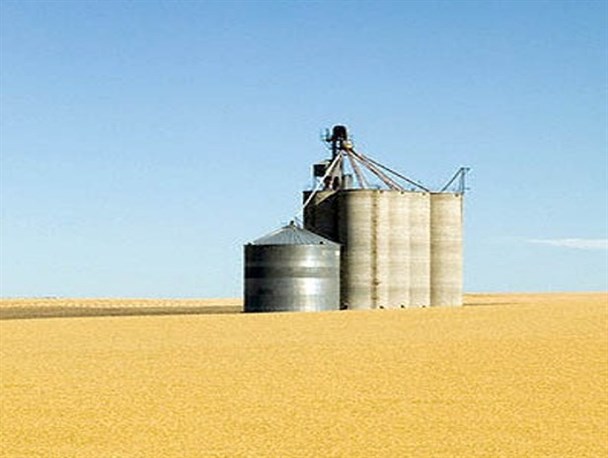 ساخت سیلوی گندم در فراهان آغاز شد/ با احداث سیلو هزینه های تولید کاهش می یابد
