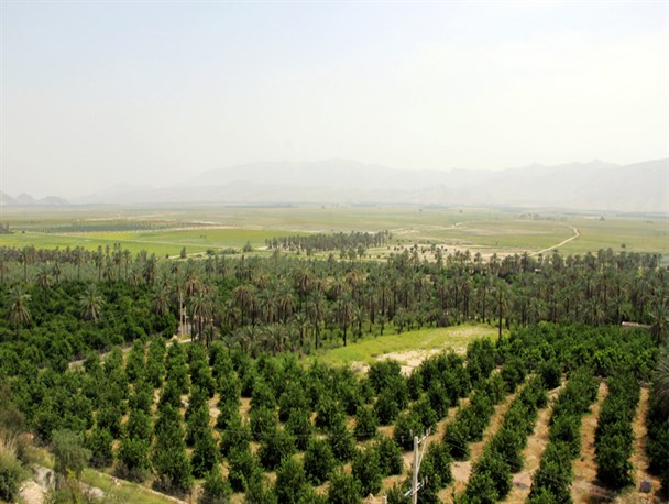 مناظر چشم نواز طبیعت بخش افزر از دریچه دوربین