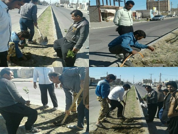 کاشت ۱۰۰ اصله نهال توسط شهروندان زابلی