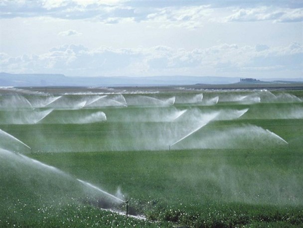 اعطای اعتبار به طرح های نوین آبیاری/ سرمازدگی نیمی از محصولات جو در شهرستان خنداب