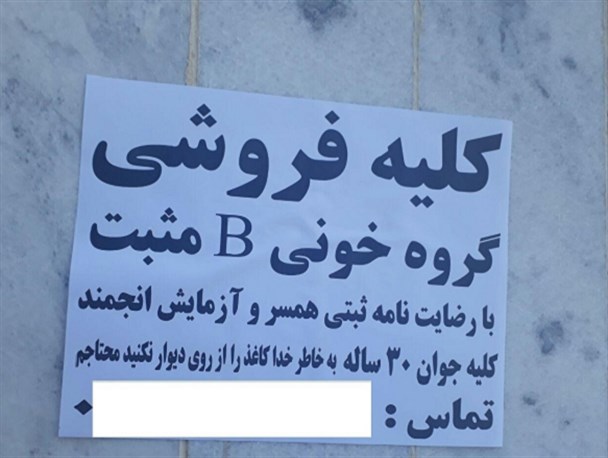 آیا معامله گران «کُلیه» در سنندج، نیازمند واقعی هستند؟!/سنندج بازار کلیه