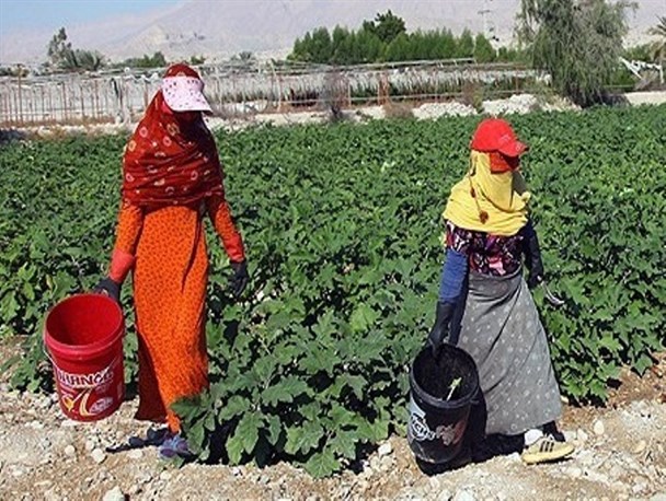 شناسایی ۱۰ روستای بدون بیکار در هرمزگان