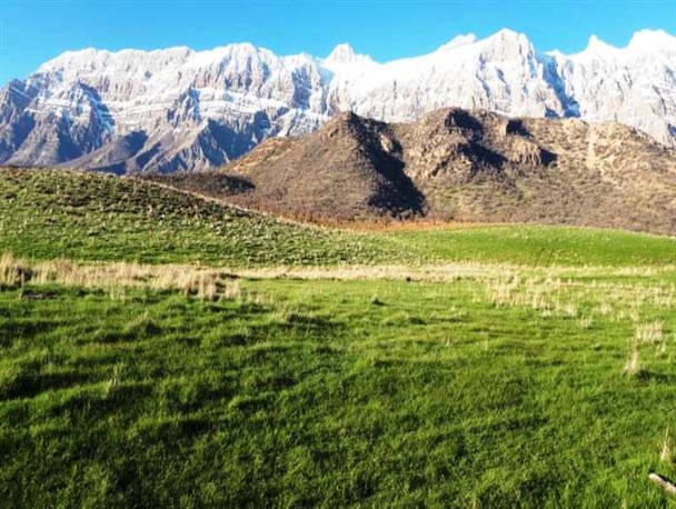 تصاویر زیبای بهاری از "دشتک" سی سخت