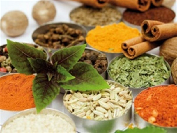 احیای طب سنتی دغدغه رهبر انقلاب است/ اراده‌هایی نمی‌گذارند نظام صنفی برای طب سنتی ایجاد شود