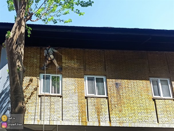 شست‌وشوی دیوارهای خانه کشتی برای اولین بار پس از ۵۰ سال