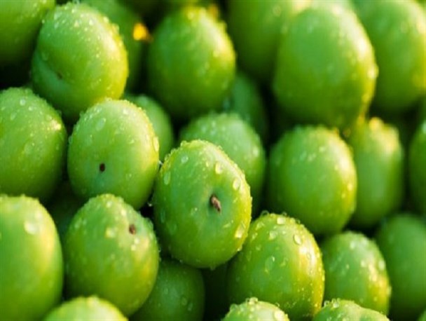 سرمازدگی علت اصلی گرانی میوه های نوبرانه/ افزایش قیمت نوبرانه ها موجب افزایش قیمت میوه های سردرختی می‌شود