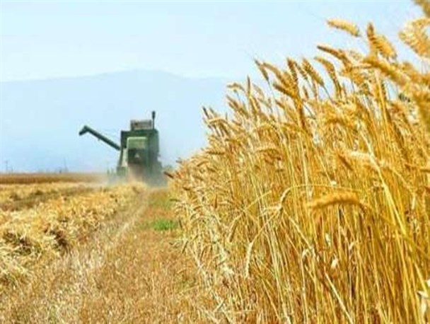 اداره صنعت و معدن شهرستان هیرمند از کشاورزان حمایت می کند