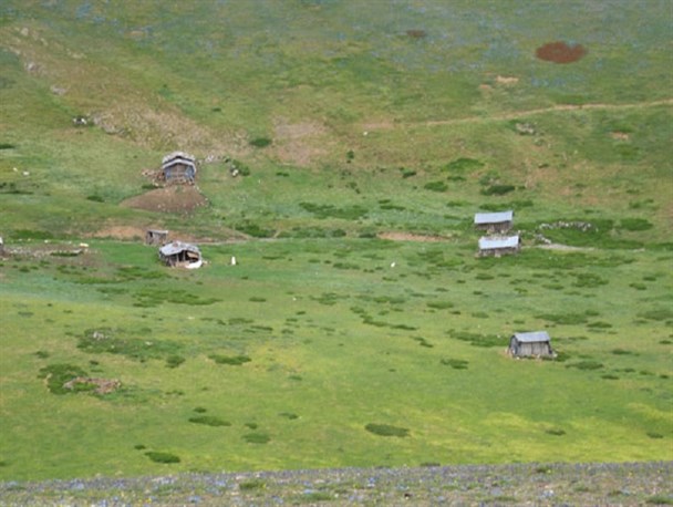 ضربان زندگی در ییلاقات شفت + تصاویر