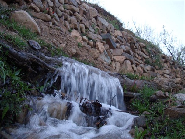 زیبایی های طبیعت در بهار روستای چاشم+ تصاویر