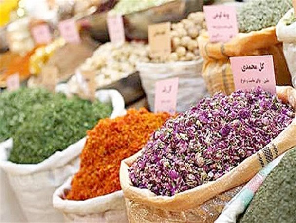 طلایی که از خاک می‌روید/کشت گیاهان دارویی نوش‌داروی کشاورزی در بحران کم آبی