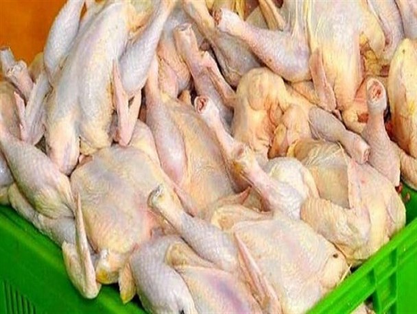 ذخیره‌سازی روزانه ۵۰ تن مرغ مازاد بر مصرف در لرستان
