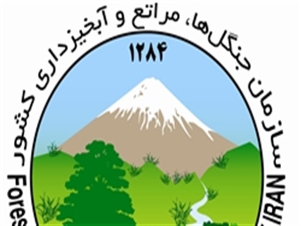 هزینه 3ملیونی هر هکتار بیابان‌زدایی در یزد/ 36درصد اراضی یزد بیابانی است