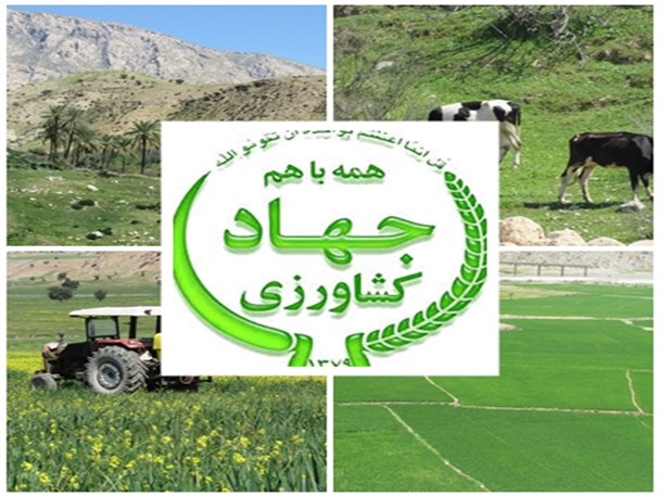 جهادکشاورزی در امتداد سازندگی+عکس