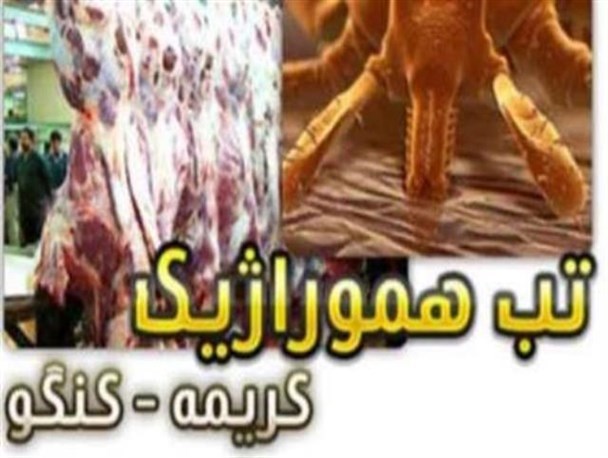 موردی از ابتلا به بیماری تب کریمه کنگو در سامان مشاهده نشده است