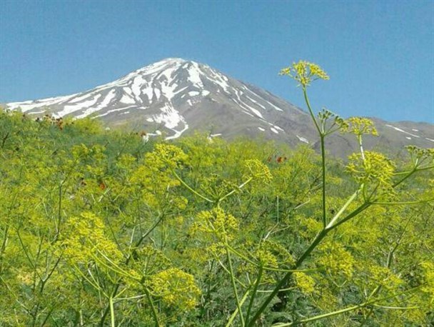 تصاویری زیبا از طبیعت منطقه نمونه گردشگری ایلانجیق نیر