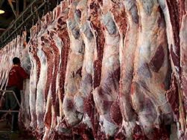 ۸۹۰ کیلوگرم انواع فرآورده های خام دامی در خراسان جنوبی معدوم شد