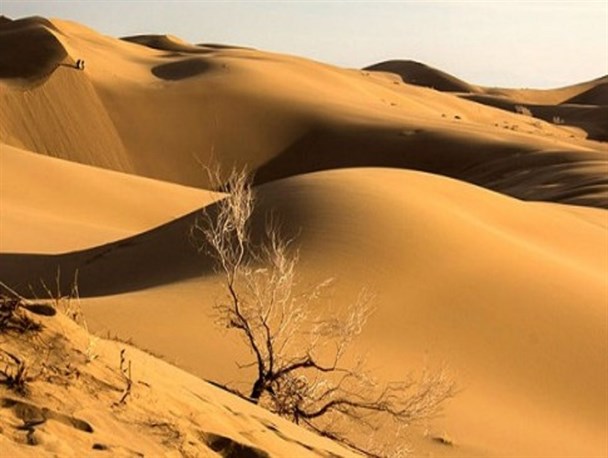 پوشش گیاهی؛ شاه کلید بیابان زدایی در سیستان و بلوچستان است/سمباده سنگین باد بر پیکر جنوب شرق کشور