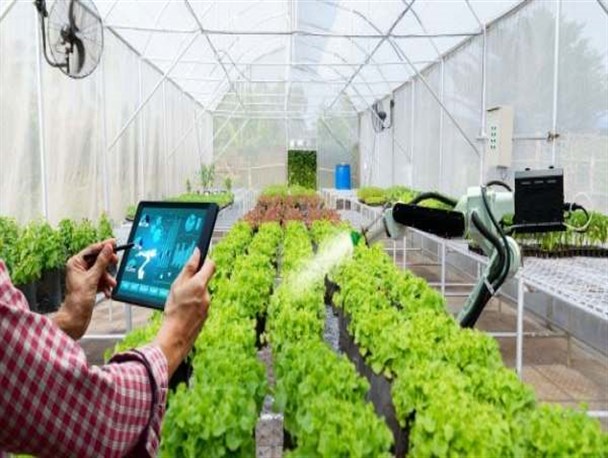 گلخانه‌های استان زنجان هوشمند‌ می‌شوند