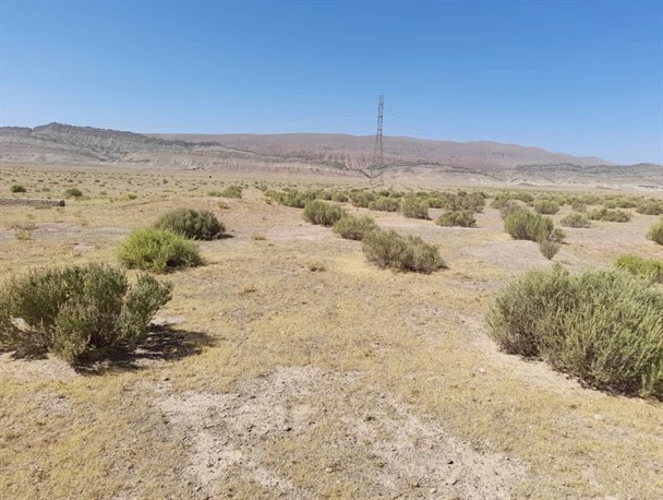 ۴ کانون بحرانی گردوغبار در استان قم وجود دارد/ نیازمند مشارکت مردمی در بیابان‌زدایی هستیم