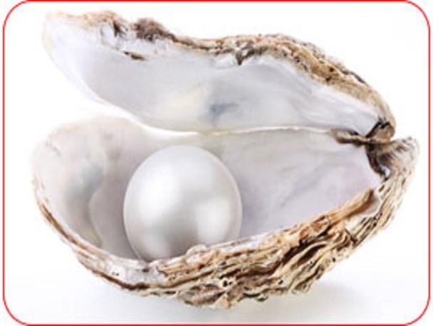 پوشش، مظهر حجاب باطنی و آراستگی درونی است