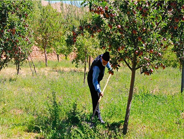 طبیعت زیبای روستای ارکان + تصاویر