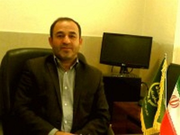 گندم گندم‌کاران بیش از ۲ برابر قیمت دلالان خریداری شد